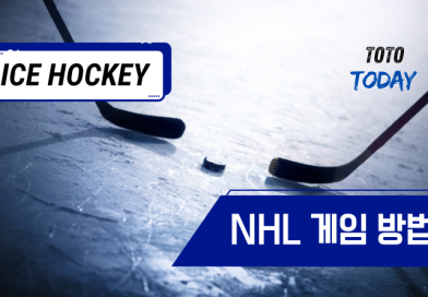NHL 게임 방법