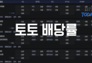 인투스포츠