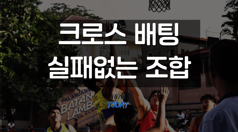 토토투데이 크로스배팅 조합