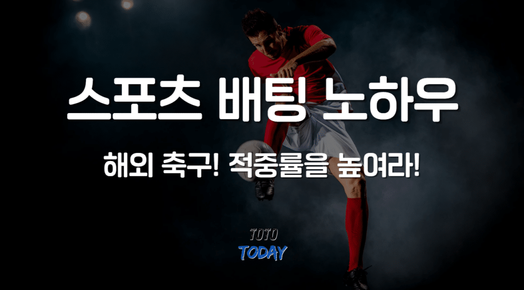 스포츠 배팅 노하우