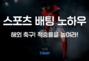 스포츠 배팅 노하우
